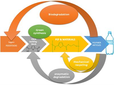 A Perspective on PEF Synthesis, Properties, and End-Life